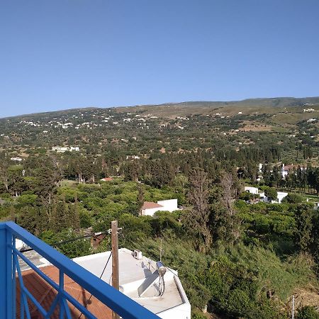 Appartement Anemone Bleu-Sea View-200M From Chora Pedestrian à Ándros Extérieur photo